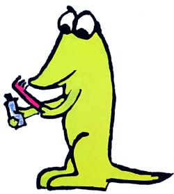 gallina che aveva mal di denti