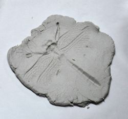 Scuola elementare via Mazzini classe 5B